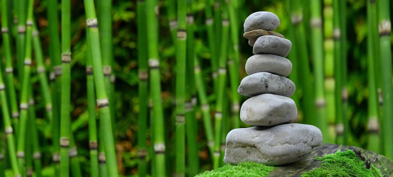 Bamboo Grove Gardens